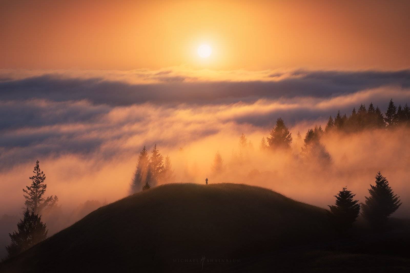 San Francisco Fog Photography