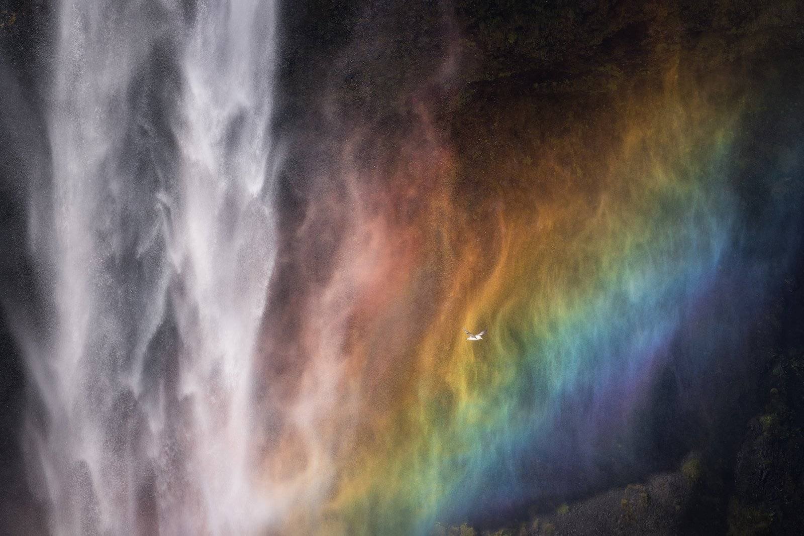 Iceland Landscape Photography