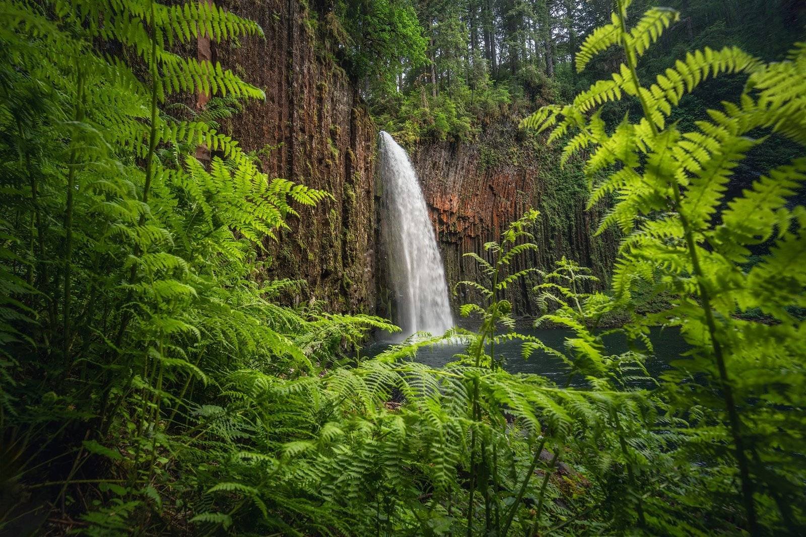 Oregon Waterfall Landscape Photography, Abiqua Falls