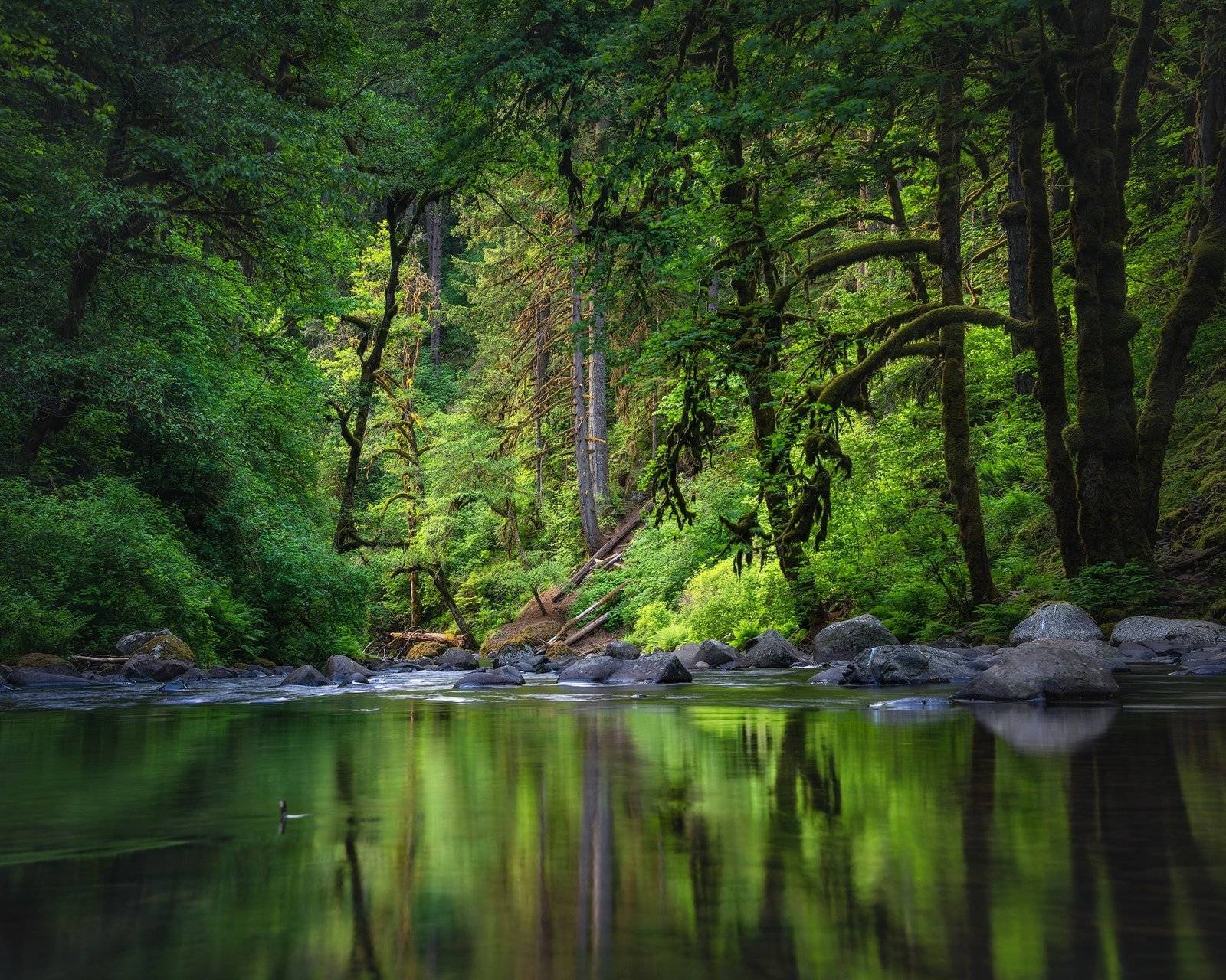 Oregon Waterfall Landscape Photography, Abiqua Falls