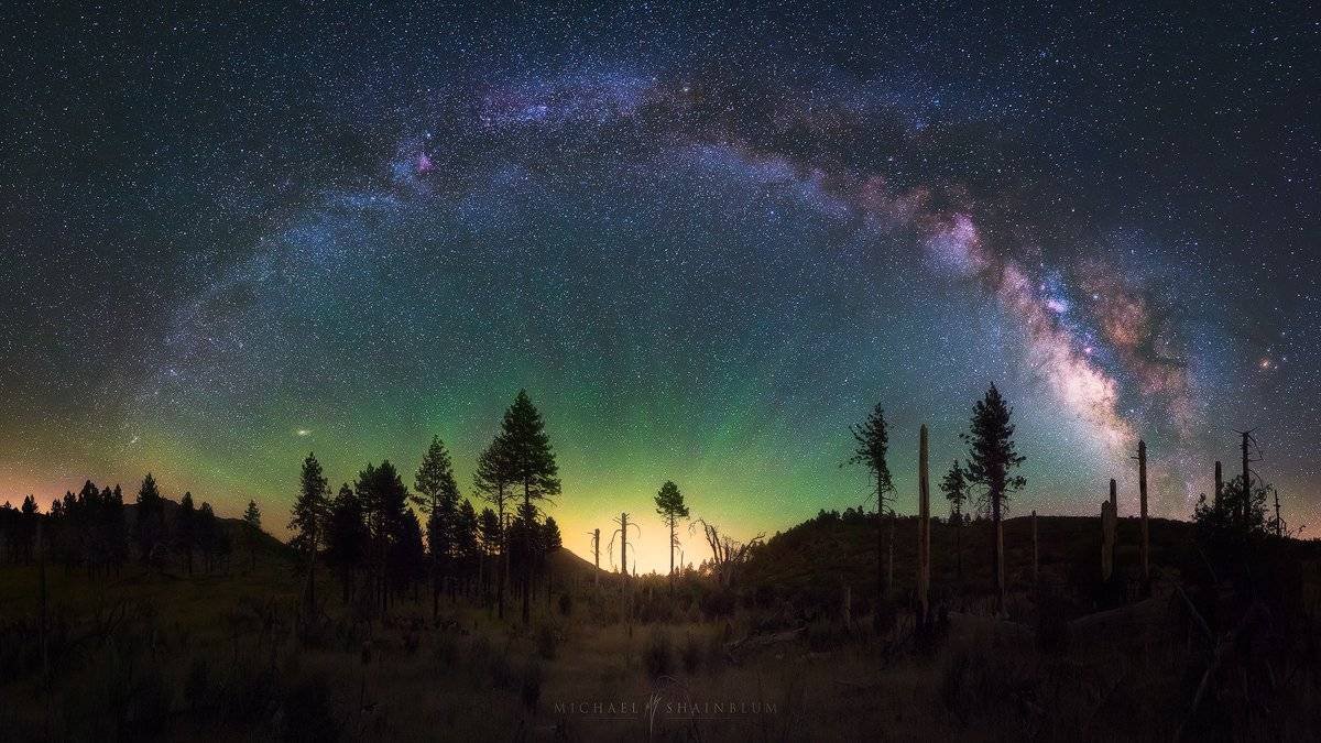 Forest Milky Way Night Sky Panorama