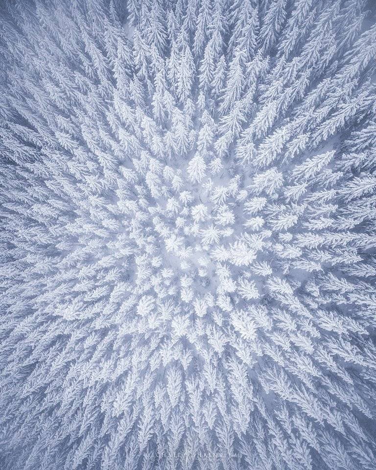 Winter snowy forest aerial photo