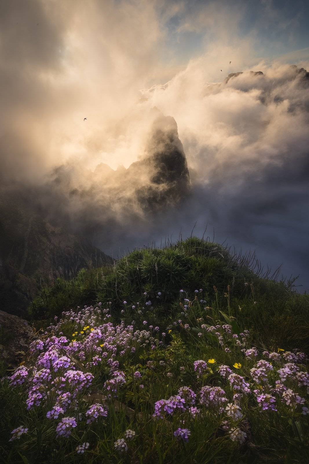 Madeira Landscape Photography, photos above the clouds.