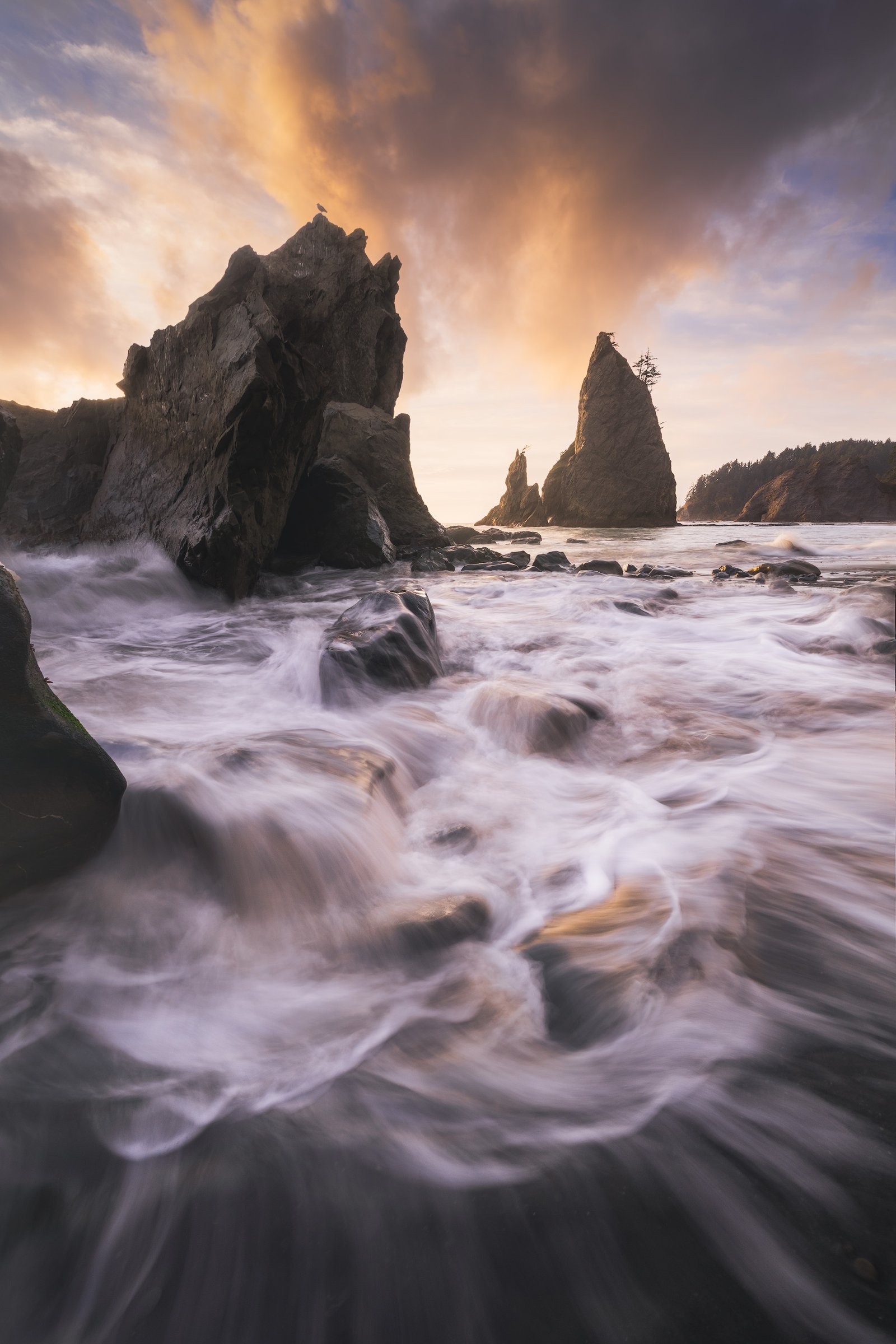 Olympic National Park Seascape Photography