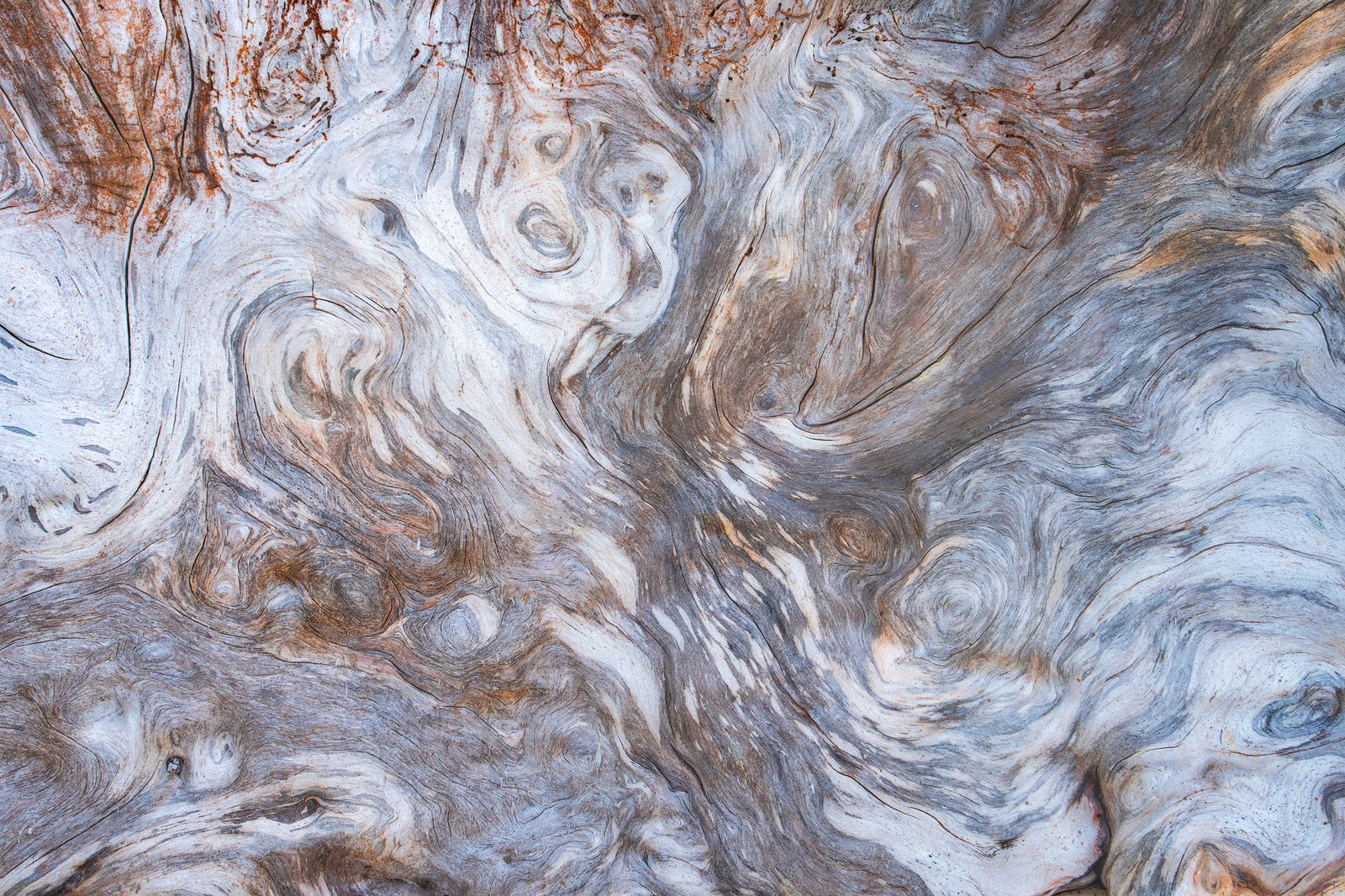 Olympic National Park Photography