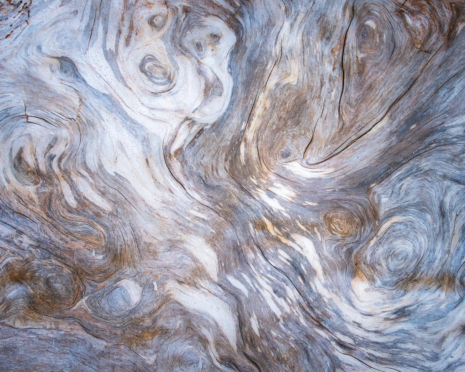 Olympic National Park Photography