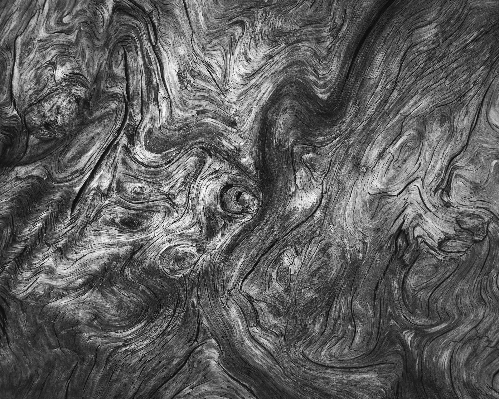 Olympic National Park Photography