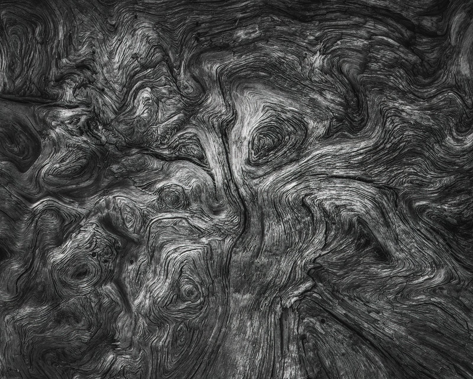 Olympic National Park Photography