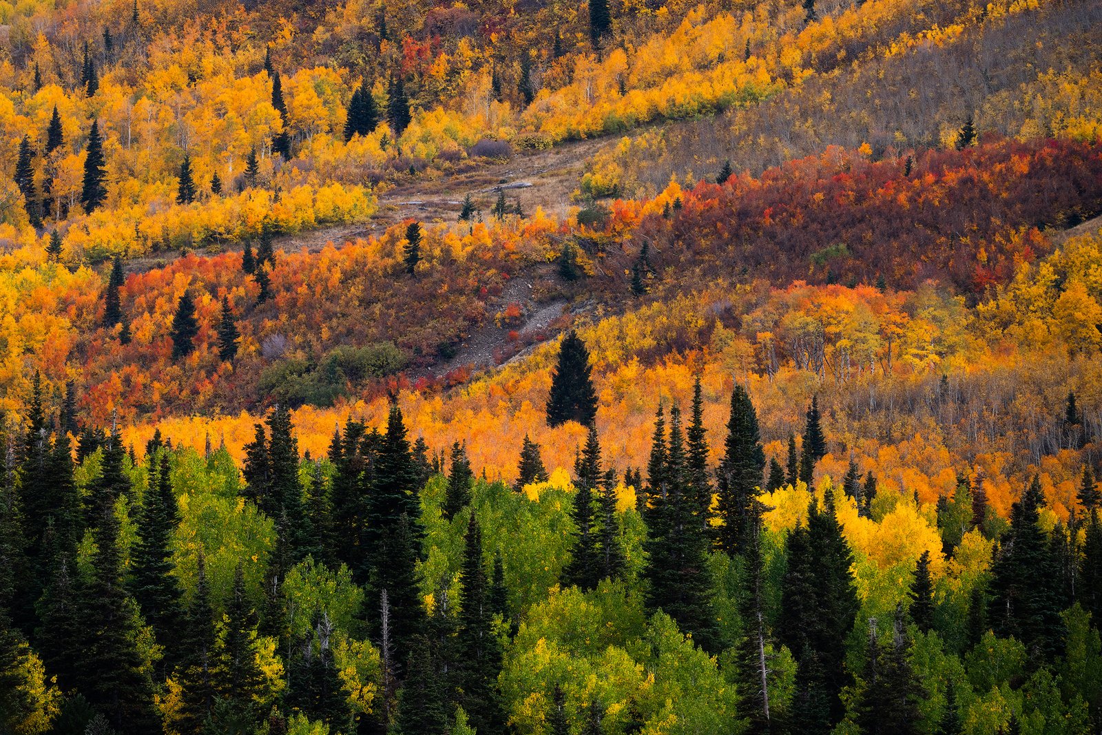 Utah Fall Color Landscape Photography