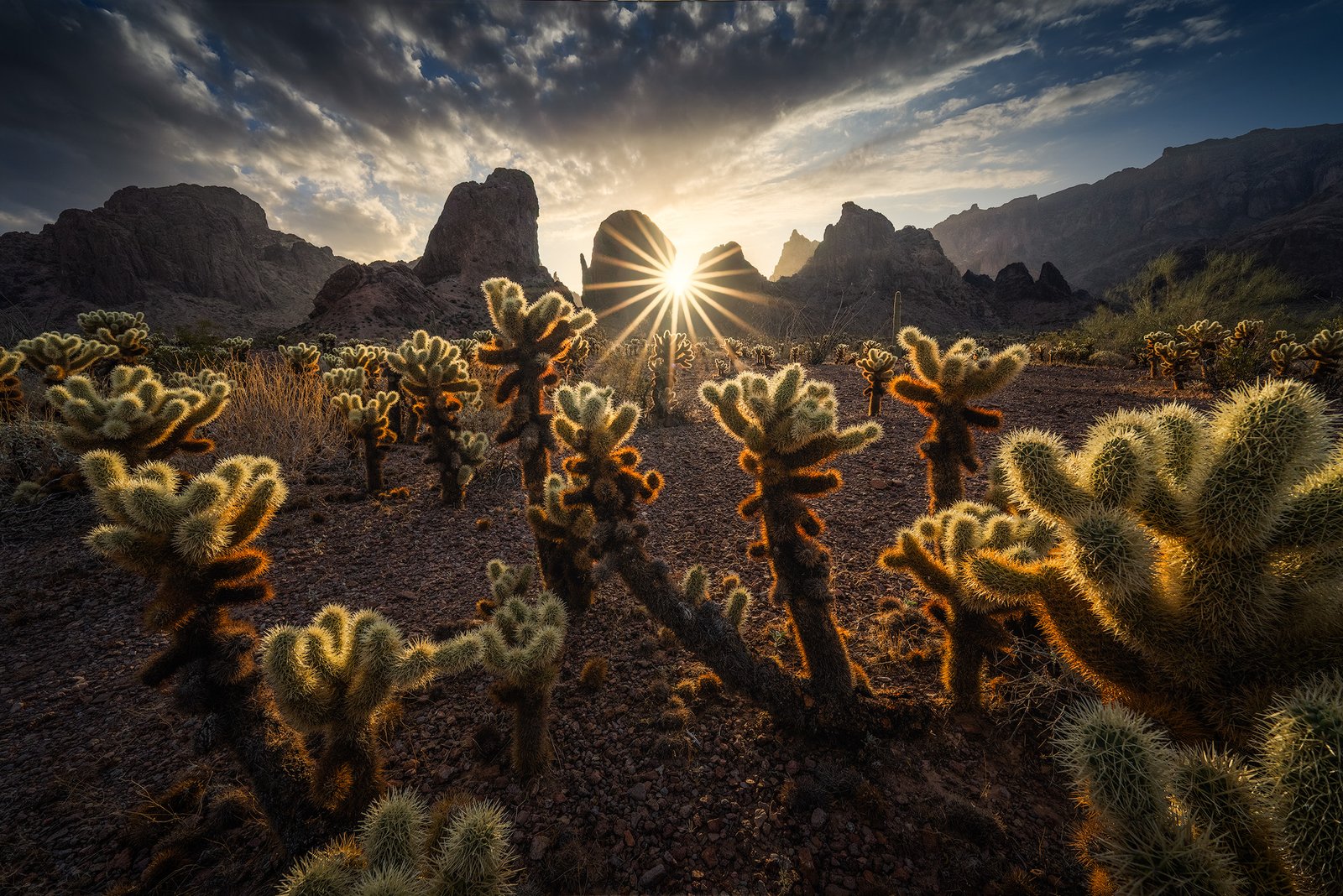 desert photography, arizona