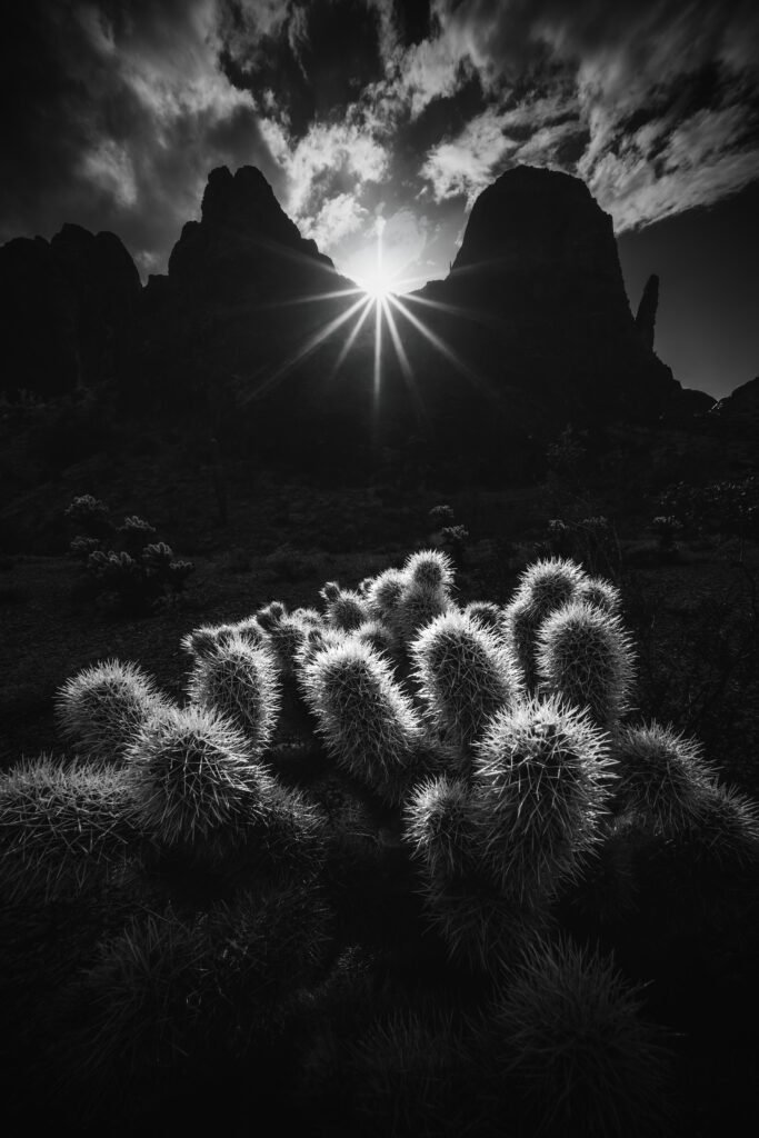 Black-and-white desert scene with spiny cacti in the foreground and jagged rock formations silhouetted by a starburst sun. With a wide-angle lens