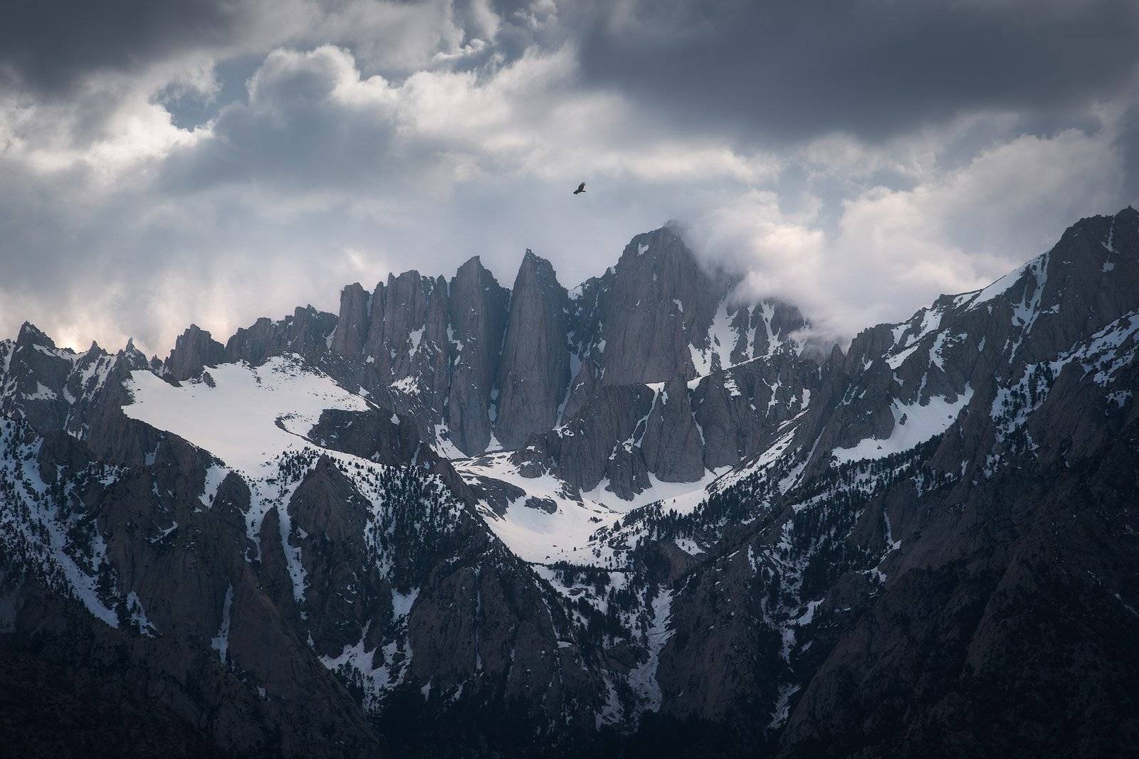 Snowy jagged mountains under dark storm clouds with a lone bird flying above the peaks