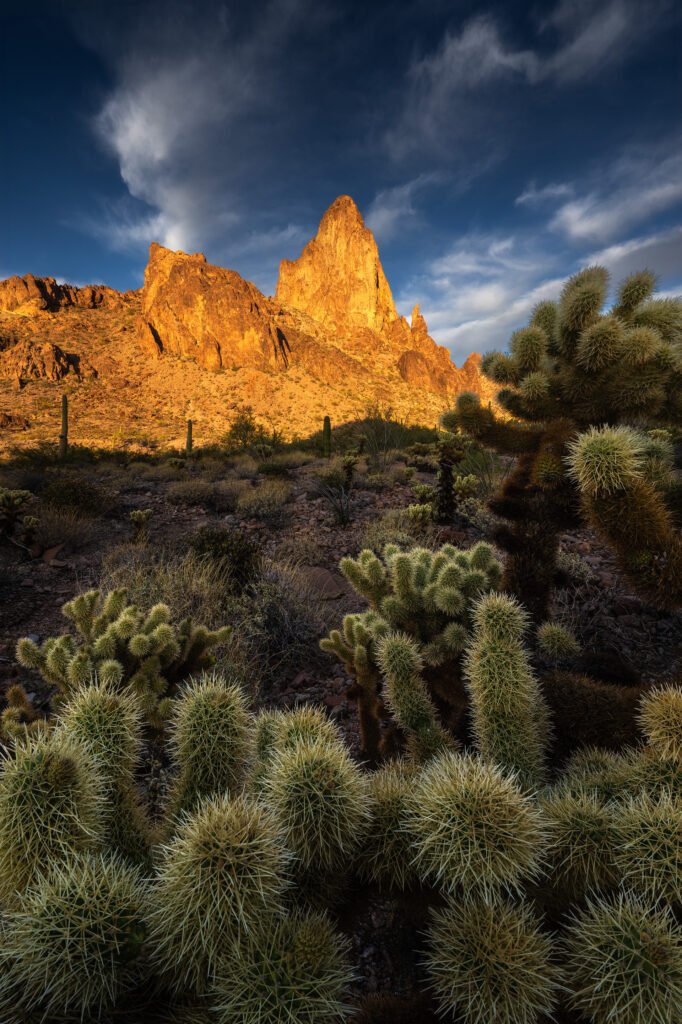 arizona landscape photography at golden hour with spiky cacti in the foreground and sunlit orange rock formations under a blue sky.
