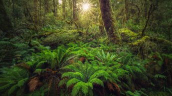 New Zealand Landscape Photography