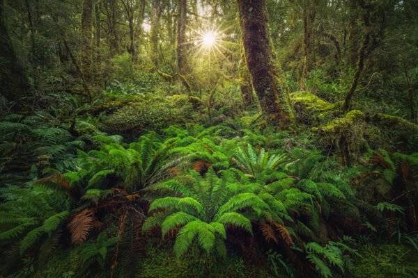 New Zealand Landscape Photography