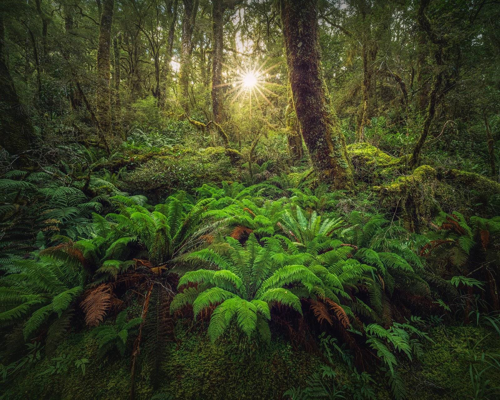 New Zealand Landscape Photography