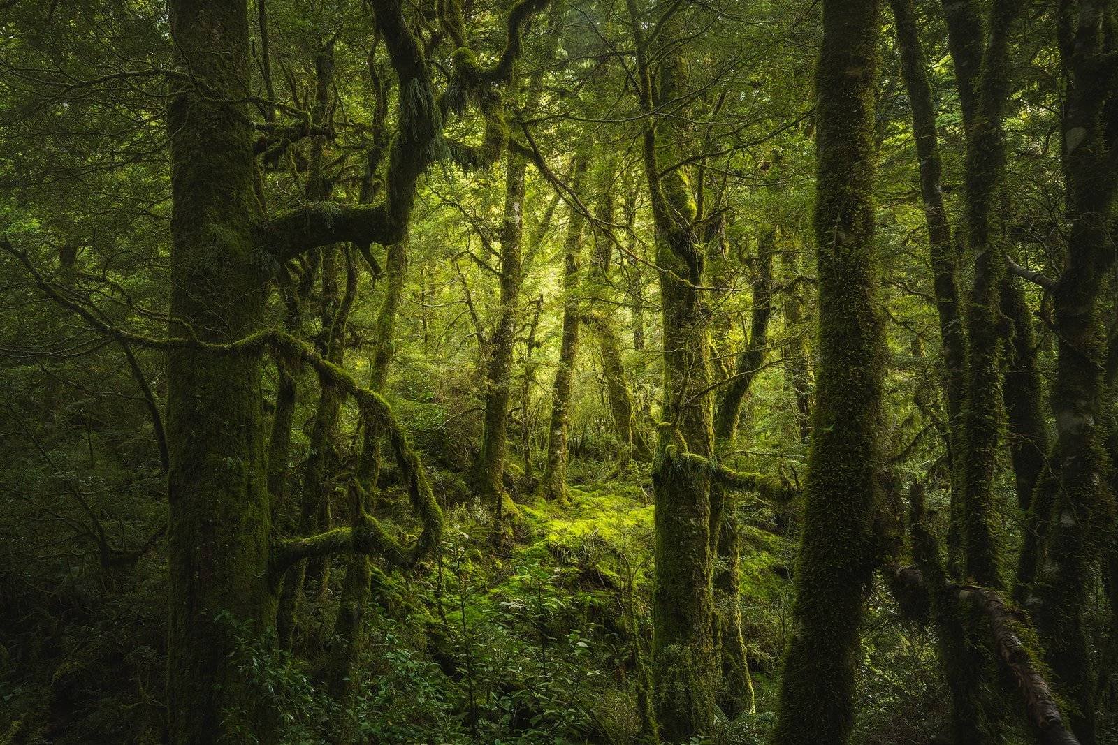 New Zealand Landscape Photography