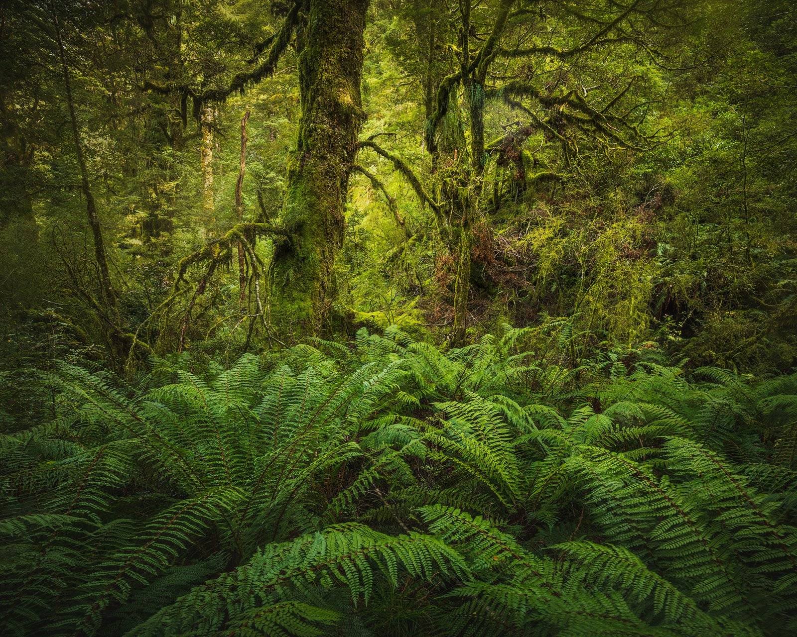 New Zealand Landscape Photography