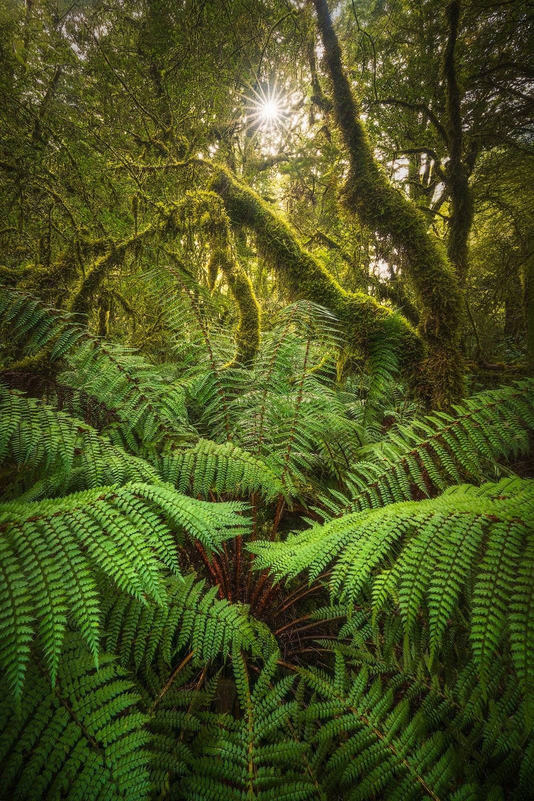 New Zealand Landscape Photography